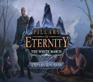 Pillars of Eternity: The White March Expansion Pass RU VPN Activated Steam CD Key