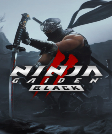 NINJA GAIDEN 2 Black (Steam) (ROW)