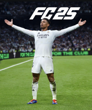 EA Sports FC 25 (Steam)