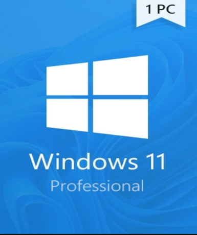 Windows 11 Professional