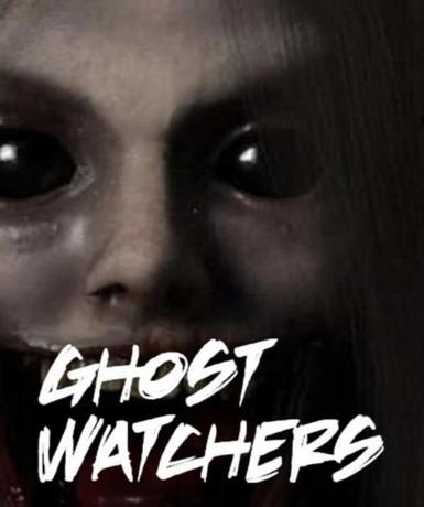 Ghost Watchers (Steam)