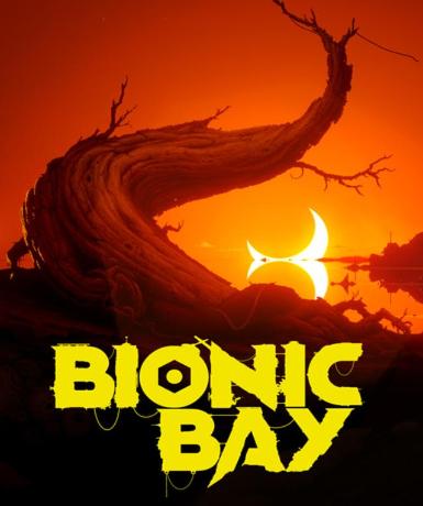 Bionic Bay (Steam)