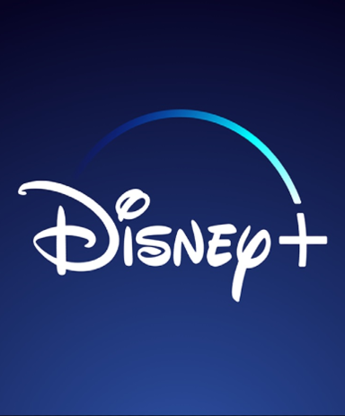 Disney+ 3 month subscription (DE)