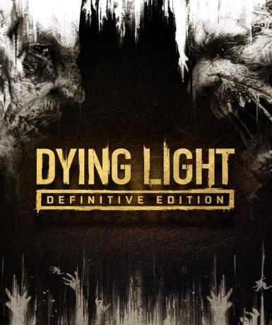 Dying Light (Definitive Edition - 10th Anniversary Edition) (Steam)