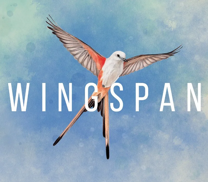 Wingspan EU Steam CD Key