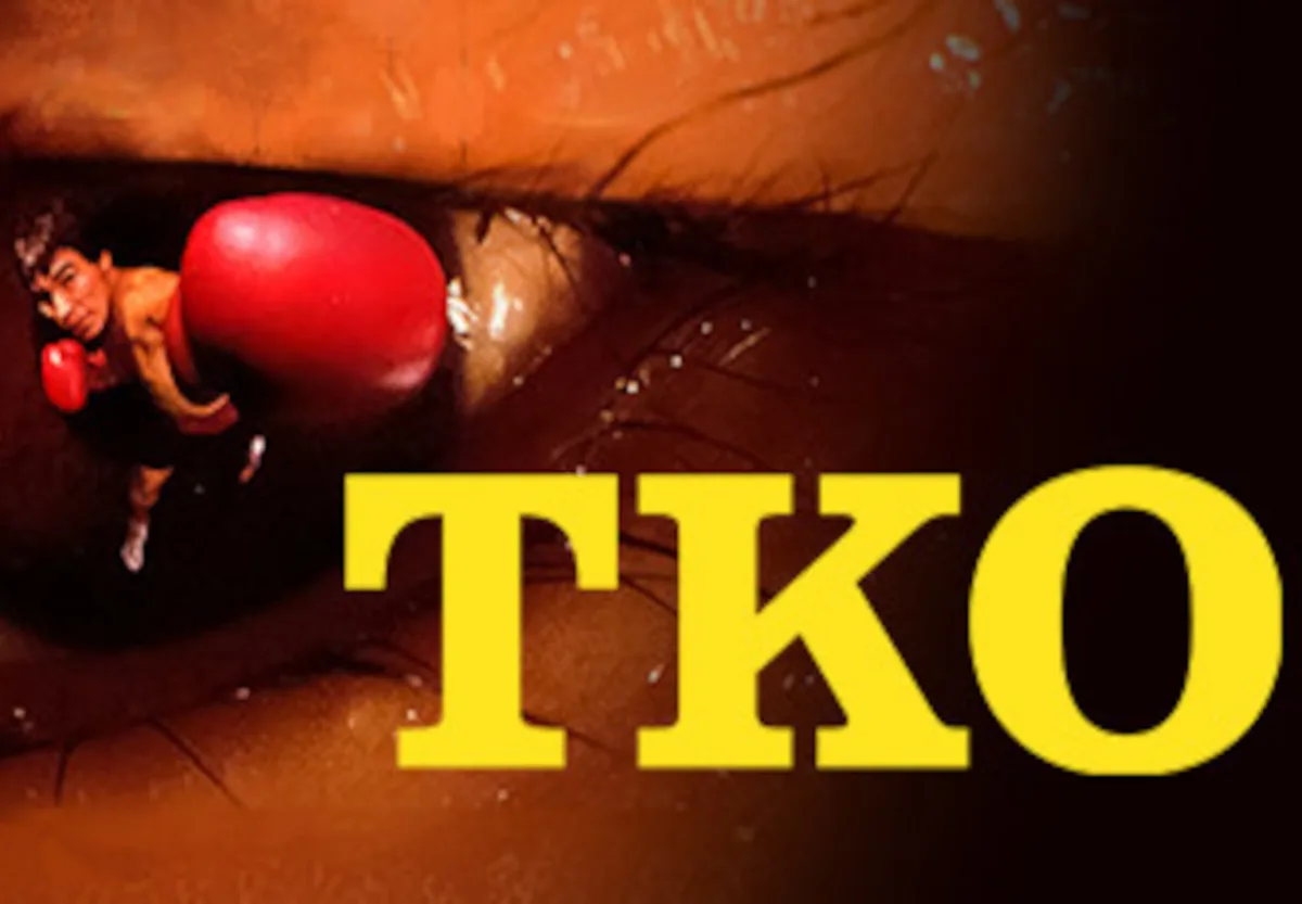 TKO Steam CD Key