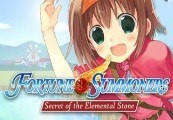 Fortune Summoners Steam Gift