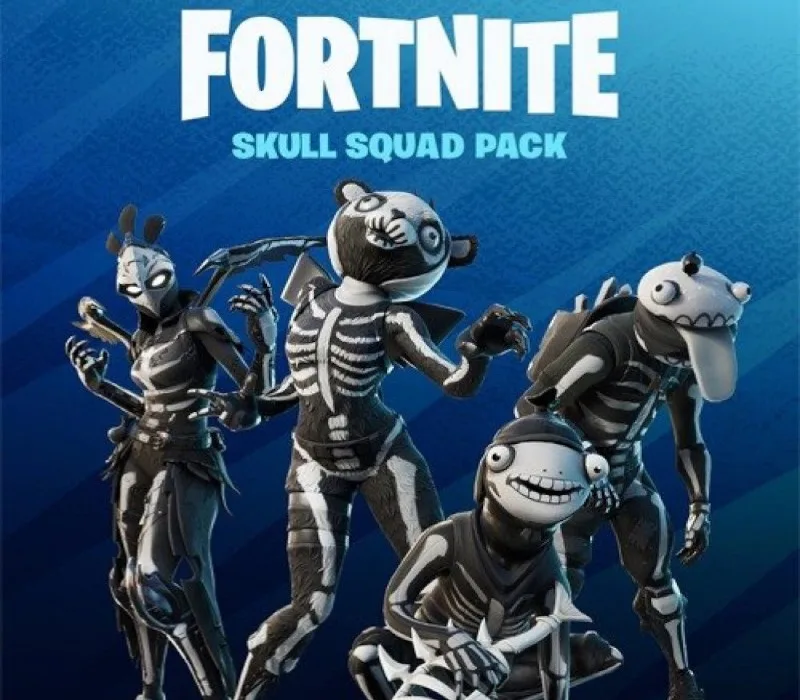 Fortnite - Skull Squad Pack TR XBOX One CD Key