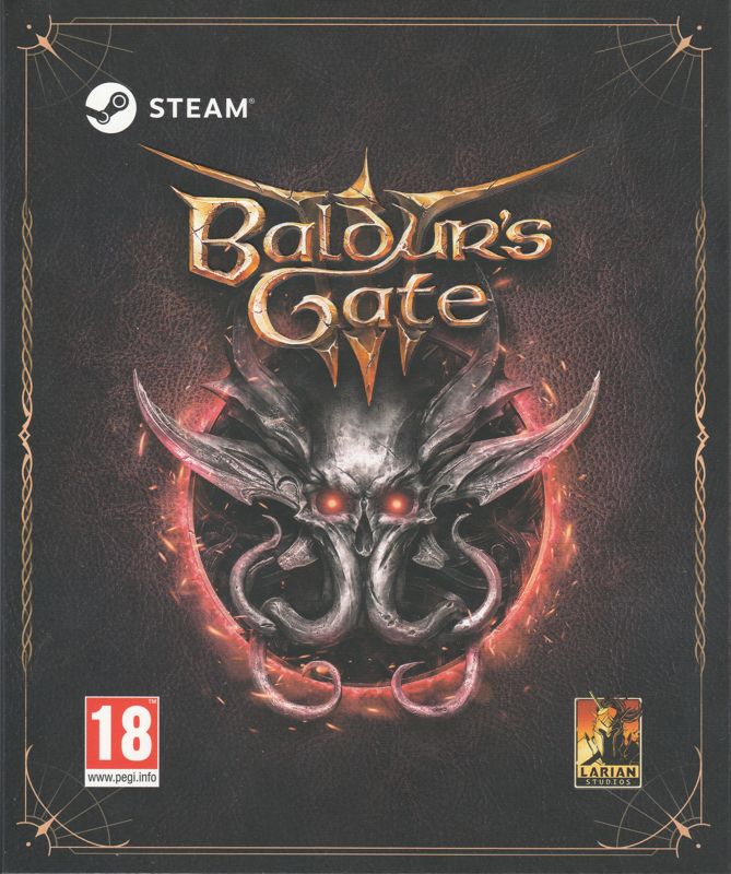 Baldur's Gate 3 PC Steam Account