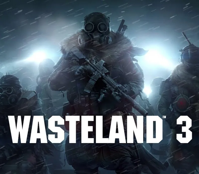Wasteland 3 EN Language Only Steam CD Key