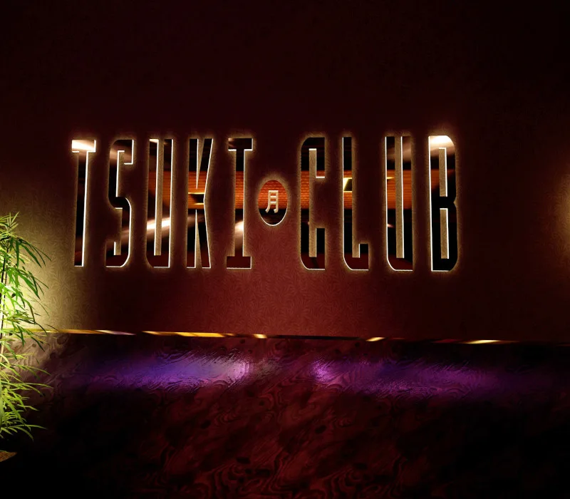 VR Paradise - Tsuki Club DLC Steam CD Key