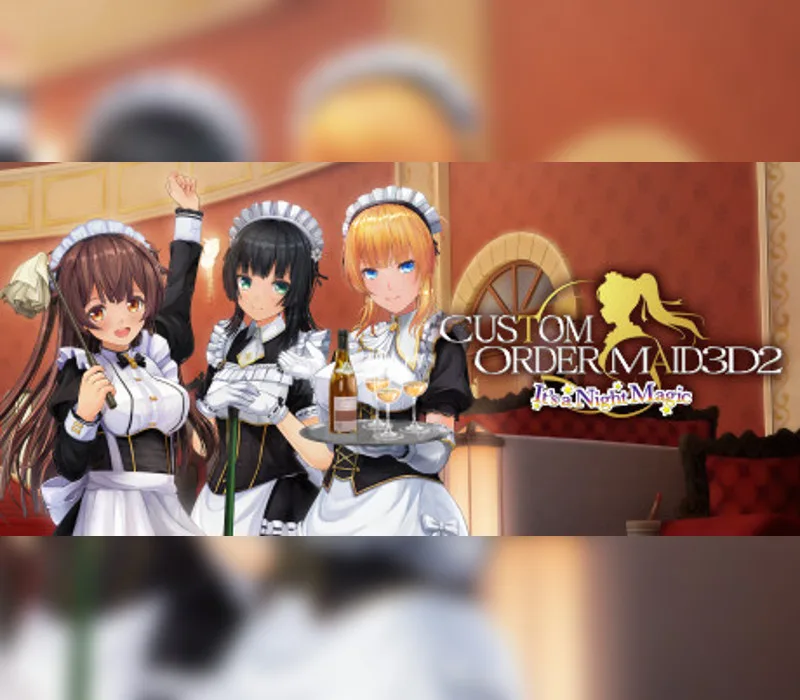 CUSTOM ORDER MAID 3D2 It's a Night Magic EU PC Steam Altergift