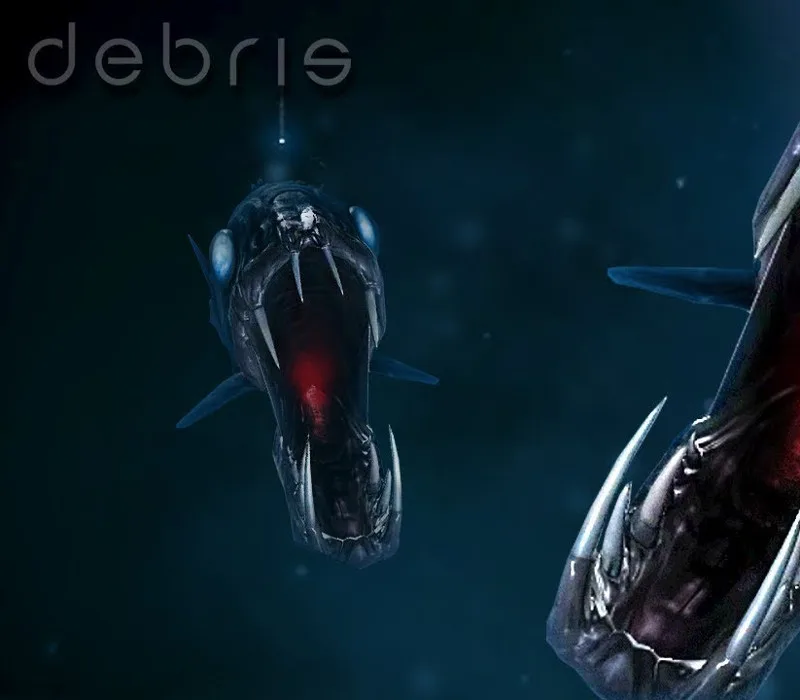 Debris EU PC Steam Altergift
