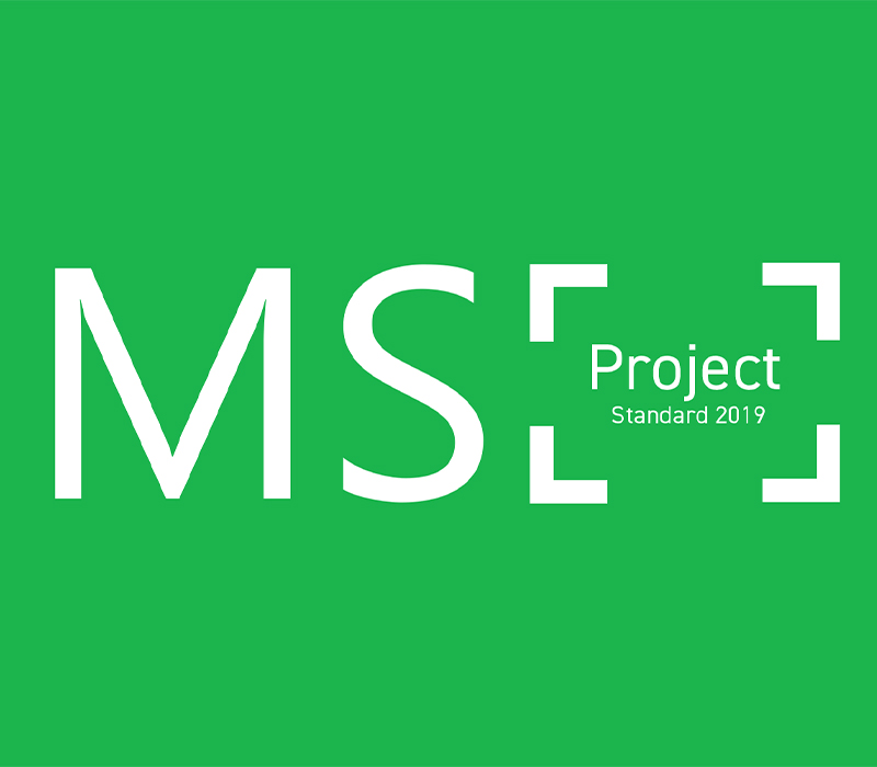 MS Project Standard 2019 CD Key