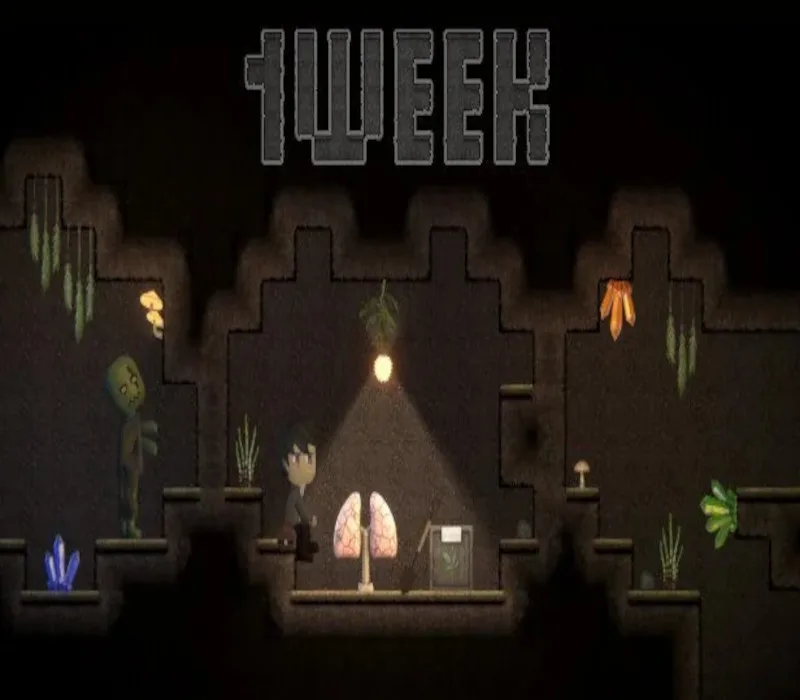 1WEEK Steam CD Key
