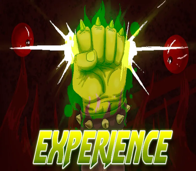 Experience (2016) Steam CD Key