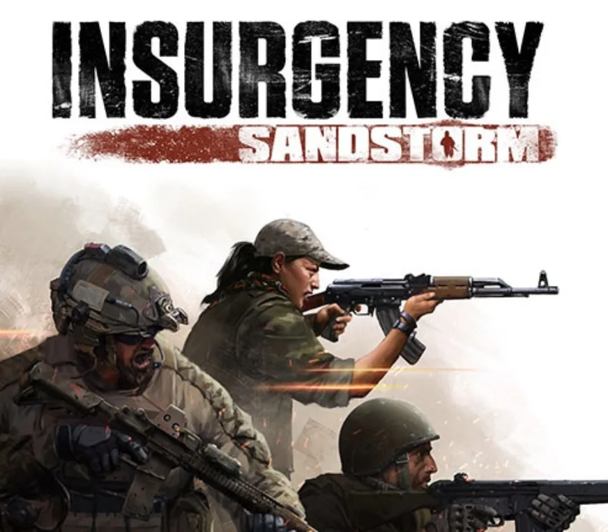 Insurgency: Sandstorm DE Steam CD Key