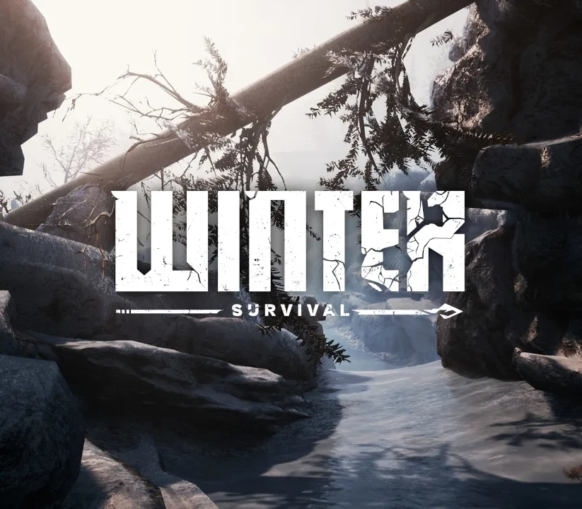 Winter Survival EU Steam CD Key