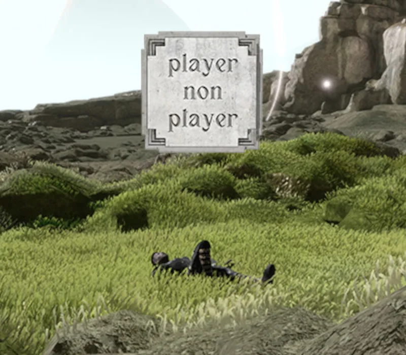 Player Non Player Steam CD Key