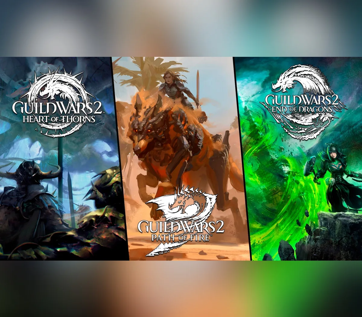 Guild Wars 2: Elder Dragon Saga Collection Digital Download CD Key
