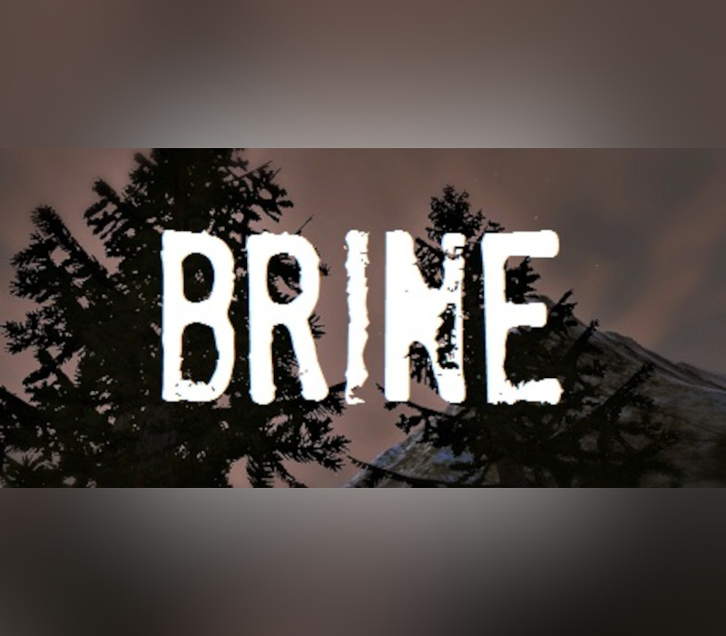 Brine PC Steam CD Key