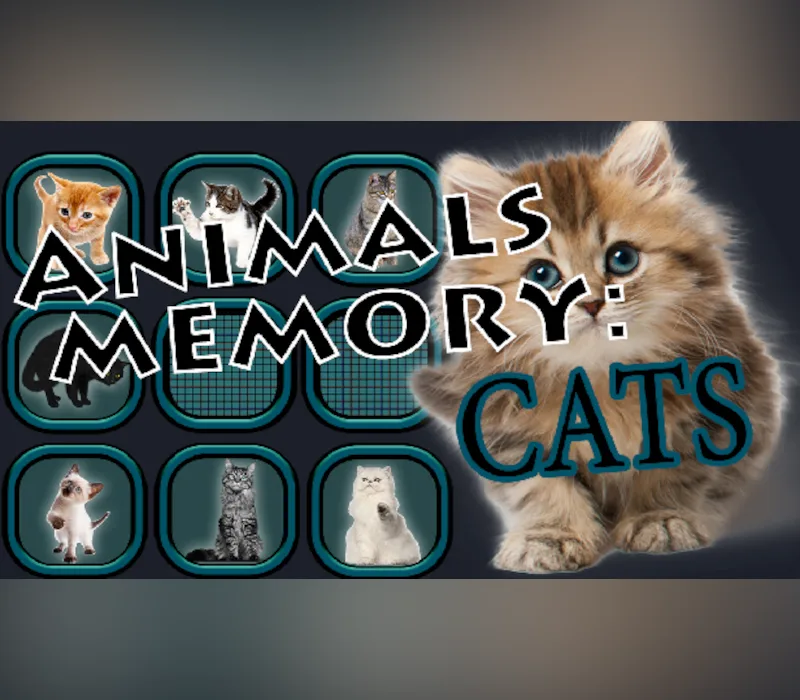 Animals Memory: Cats EU PC Steam CD Key