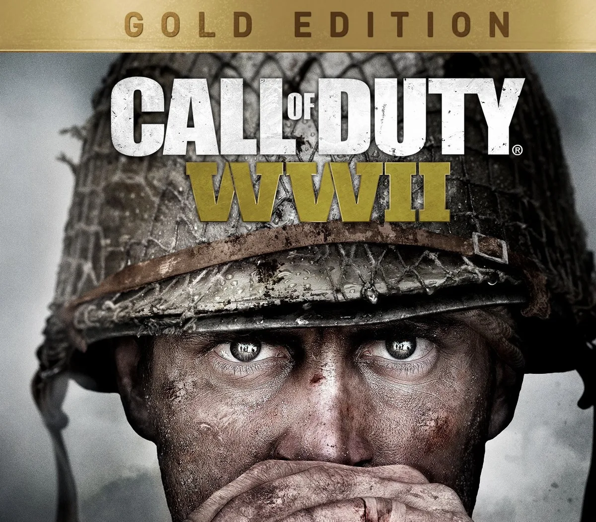 Call of Duty: WWII Gold Edition XBOX One / Xbox Series X|S CD Key
