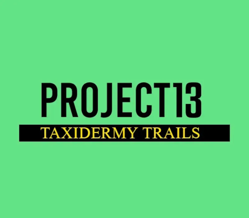 Project 13: Taxidermy Trails EU PS5 CD Key
