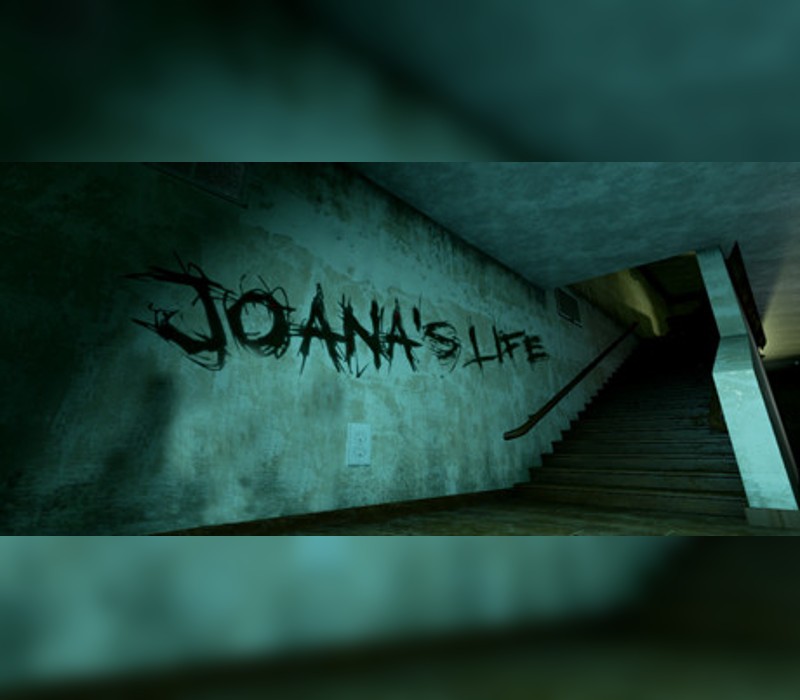 Joana's Life PC Steam CD Key