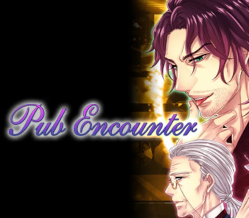 Pub Encounter PC Steam CD Key
