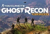 Tom Clancy's Ghost Recon Wildlands RU Ubisoft Connect CD Key