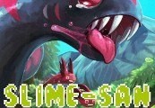 Slime-san: Sheeple’s Sequel Steam CD Key