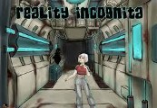 Reality Incognita Steam CD Key