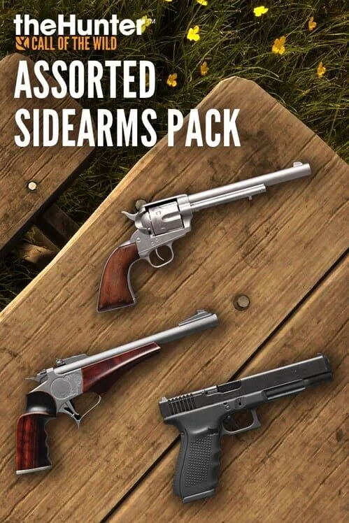 theHunter: Call of the Wild - Assorted Sidearms Pack DLC PC Steam CD Key (valid until March, 2027)
