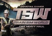 Train Sim World - Northeast Corridor New York DLC Steam CD Key