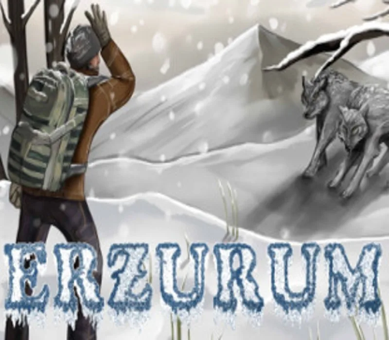 Erzurum Steam CD Key