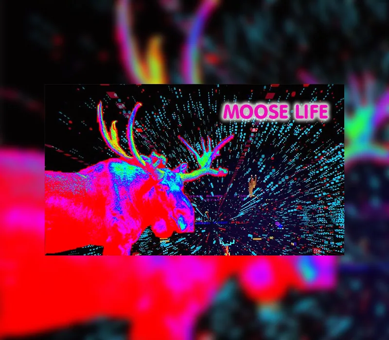 Moose Life Steam CD Key
