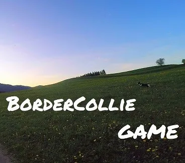 BorderCollie Game Steam CD Key
